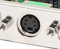 Video Card Connector - S-Video Video Card Connector - S-Video